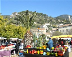 Roquebrun Mimosa Festival, Occitanie