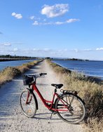 Bicycle track to Onglous lighthouse, Marseillan 
