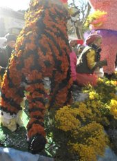 Paper tiger at Roquebrun Mimosa festival
