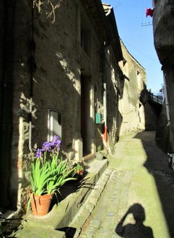 Rue de Vanieres, St Nazaire de Ladarez