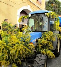 Vineyard tractor decorated at Roquebrun